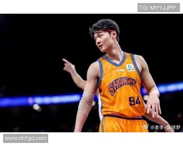 王哲林的篮球之路：从青年才俊到CBA明星的成长历程与未来展望